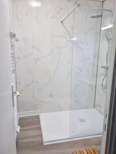 a shower with a glass door in a bathroom at Poterne- Logement raffiné avec jardin in Aubeterre-sur-Dronne