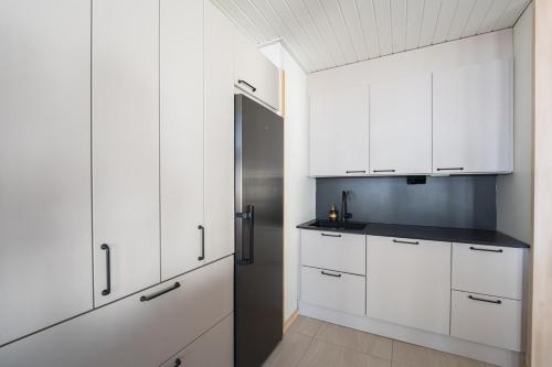 Dapur atau dapur kecil di Iisland Aava