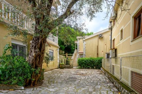 a tree in the middle of a walkway between two buildings at Apartment Coast Stoliv in Donji Stoliv