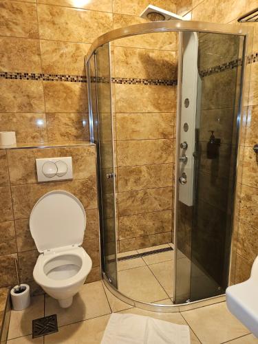 a bathroom with a toilet and a shower at Hotel Taurus in Ostrava