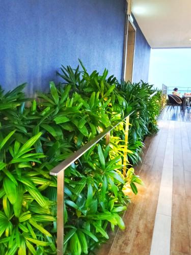 a row of green plants in a hallway at My Residence Villa Star Klcc in Kuala Lumpur