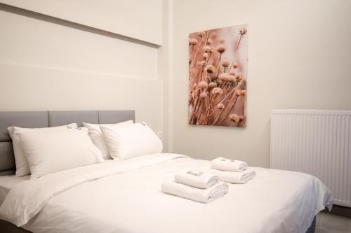 Historic Center Luxury Apartment
