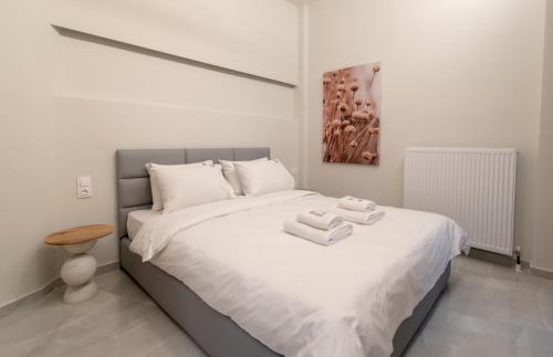 Historic Center Luxury Apartment