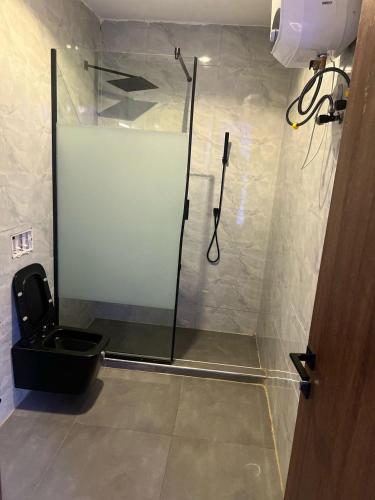a bathroom with a glass shower with a toilet at Vista apartment in Abuja