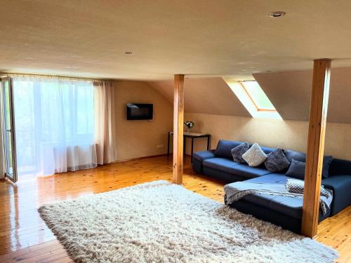 a living room with a blue couch and a rug at Rasiņas in Cesvainieki