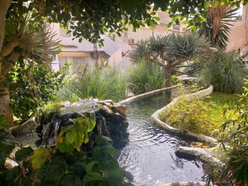 Laguna Beach Piscina- HOME RENT MALAGAにある庭