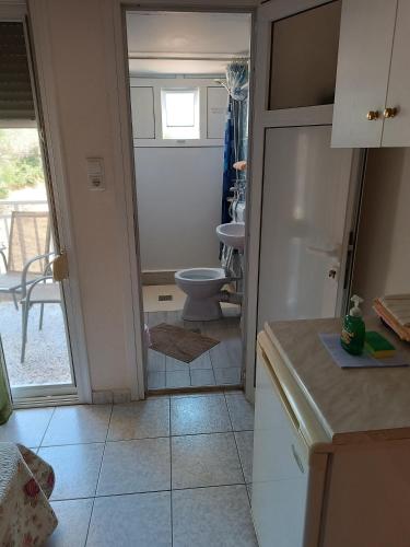 a small kitchen with a toilet and a sink at Anestis Apartments & rooms in Paleo Tsifliki