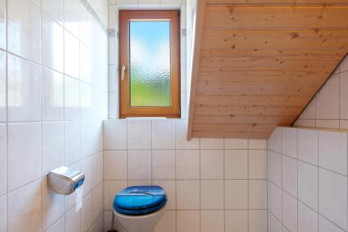 a bathroom with a blue toilet and a window at Ferienwohnung Sulzberg, 103qm in Alpirsbach