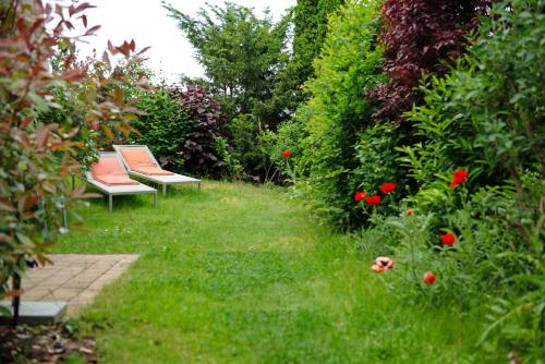 two benches sitting in a garden with red flowers at Ferienwohnungen Im Rosengarten in Bodman-Ludwigshafen
