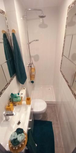une salle de bain blanche avec des toilettes et un lavabo dans l'établissement Appartement neuf proche Eurodisney Paris et RER E, à Pontault-Combault