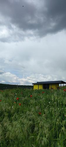 a yellow building in a field of flowers at ILLU Resort in Orhei