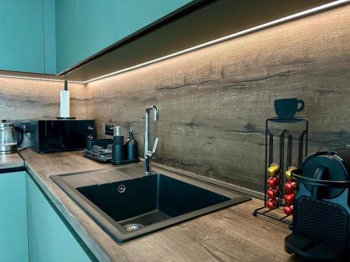 Kuchyň nebo kuchyňský kout v ubytování Alpine View Villa