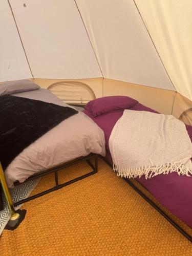 a room with two beds in a tent at Hill Fruit Farm Glamping in Trunch