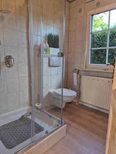 ein Badezimmer mit Dusche und Toilette in der Unterkunft Cosy Cottage in Braunfels