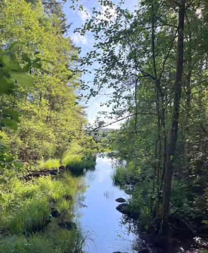 a river in the middle of a forest at Freyja Summer Forest Retreat Cabin with Private Outdoor Tub and Lakeside Views in Örby