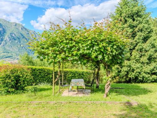 a table and a chair under a tree at Chalet Lucia by Interhome in Claino