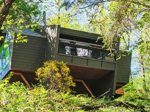 a house in the woods with a dog in the window at Chalet Bosco della Bella 6 by Interhome in Termine