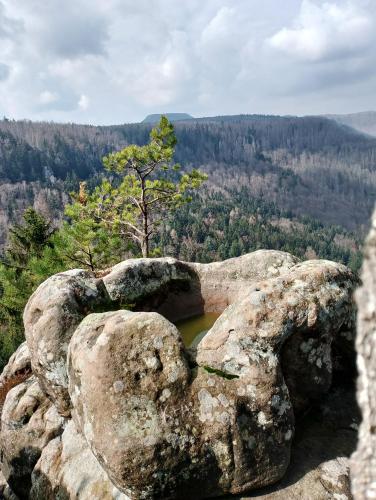 Φυσικό τοπίο κοντά σε αυτή η παραθεριστική κατοικία