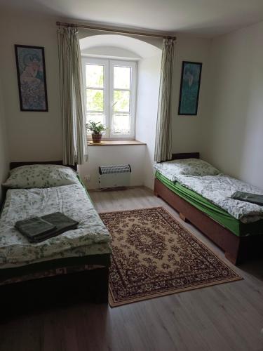 a bedroom with two beds and a rug and a window at Chalupa u Jirky in Staré Ransko