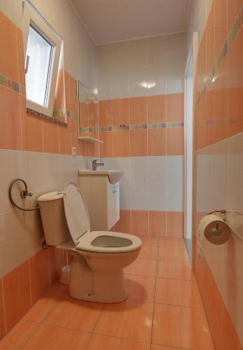 a bathroom with a toilet and a sink at Apartments Tomas in Senj