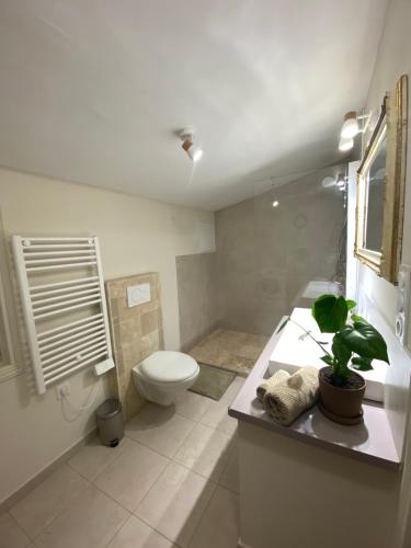 La salle de bains est pourvue de toilettes et d'un lavabo avec une plante. dans l'établissement Maison Agatha, à La Garde-Freinet