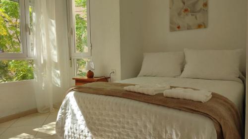 Mercado Central - LA CASA DEL ARBOL