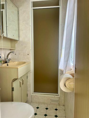 a bathroom with a shower with a toilet and a sink at ZP 360 - Camping de Zandput in Vrouwenpolder