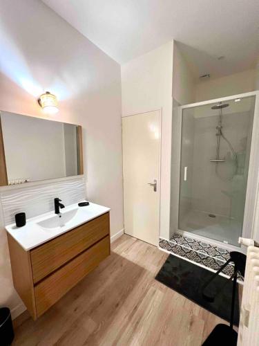 une salle de bain avec un lavabo blanc et une douche dans l'établissement Terracotta Home, à Poitiers