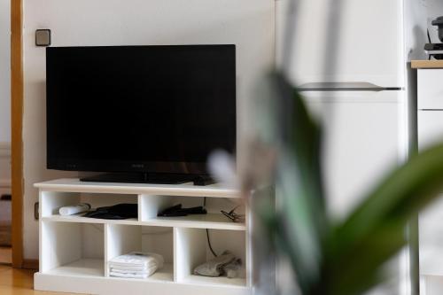 TV a/nebo společenská místnost v ubytování Ferienwohnung Dorfidyll