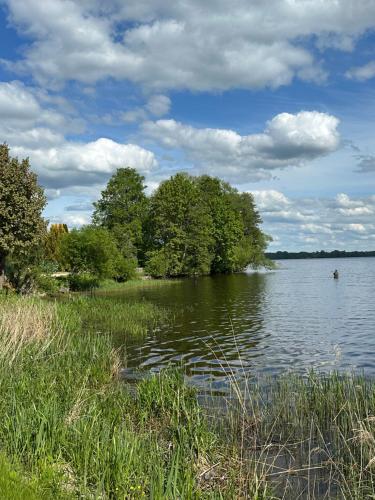 a view of a lake with trees and grass at Austriņu Apartamenti in Lielvārde