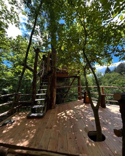 a wooden deck with a tree with a staircase at Rivendell Treehouse in Chiozza