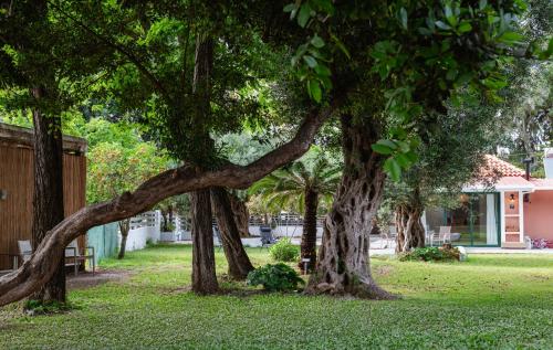 a group of trees in front of a house at Thea simply by the sea in Preveza