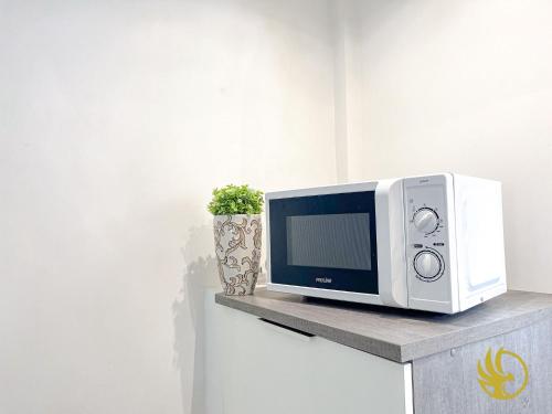 un four micro-ondes assis sur une étagère avec une plante dans l'établissement Parenthèse Berckoise, à Berck-sur-Mer