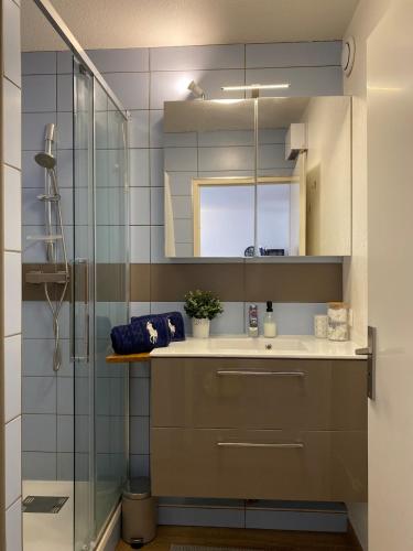 une salle de bain avec un lavabo et une douche dans l'établissement Le Spot Niçois, à Nice