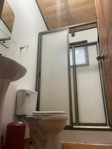 a bathroom with a toilet and a window at Cabaña Los Maquis in Pinto