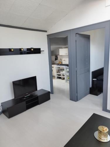 Joli Appartement hyper centre Grenoble