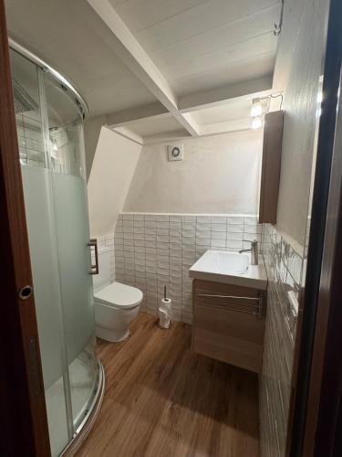 a small bathroom with a toilet and a sink at Refugi de l'Albera in Vilamaniscle