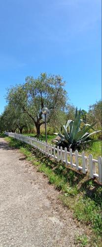 a white fence on the side of a road at Villa Celestina, a 10 minuti dalle Terme in Vetralla