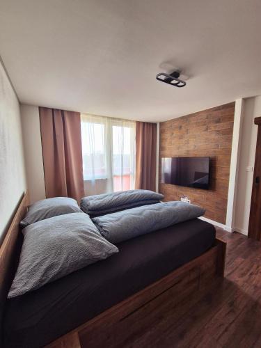 a bedroom with two beds and a flat screen tv at Apartmán v centre mesta Levice,Okružná in Levice