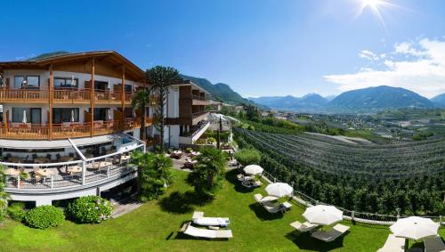 an aerial view of a hotel and a vineyard at Hotel Garni Nachtigall in Schenna