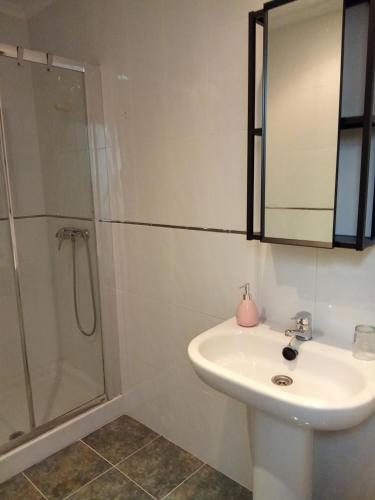 a bathroom with a sink and a shower at FUENTETRIGO III Medina de Pomar in Medina de Pomar