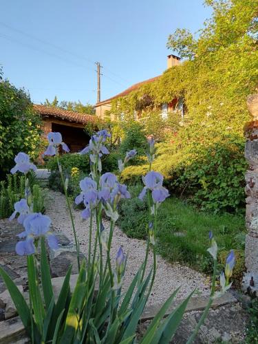 a bunch of purple flowers in a garden at Gite Les Volets Bleus du Segur in Le Ségur-Suech