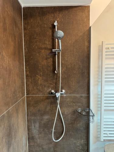 une douche avec pommeau de douche dans une salle de bain dans l'établissement Villa Amari - 10 minutes de Bayonne, à Boucau