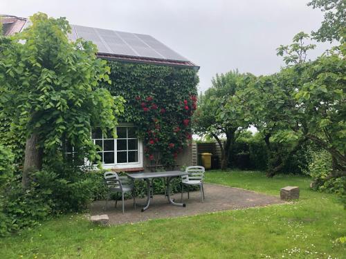 a table and chairs in front of a house with a plant at große Ferienwohnung Inselhuus in Nordstrand