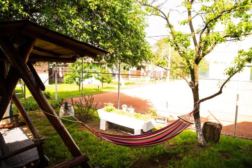 a hammock hanging from a tree in a yard at Casa de Piatra in Porumbacu de Sus
