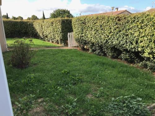 une haie dans une cour avec une pelouse verte dans l'établissement House in a rural village surrounded by vinyards, à Leuc