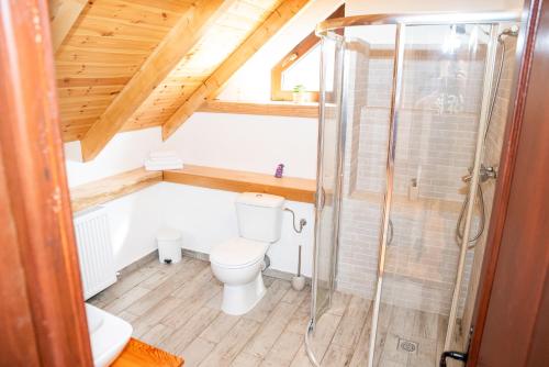 a bathroom with a toilet and a shower at Casa de Piatra in Porumbacu de Sus