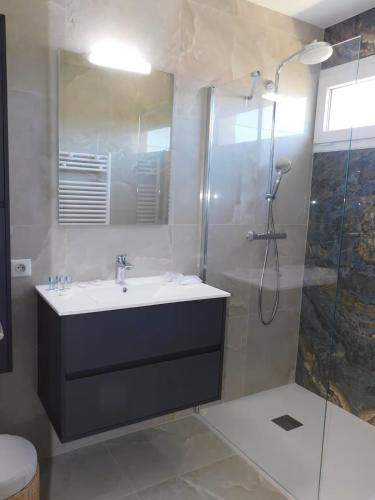 une salle de bain avec un lavabo et une douche dans l'établissement Juan les Pins Vitoria grand 2P calme parking, à Antibes