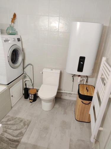 La salle de bains est pourvue de toilettes et d'un lave-linge. dans l'établissement Appartement élégant, chaleureux et cosy à Reims, à Reims