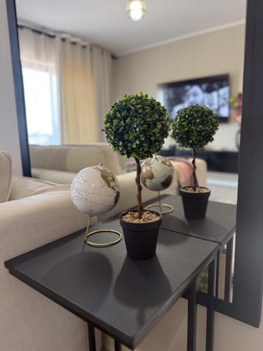 three potted trees on a table in a living room at LLL Apartments in Gaborone